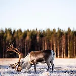 Rytiniemen Rantamoekki *