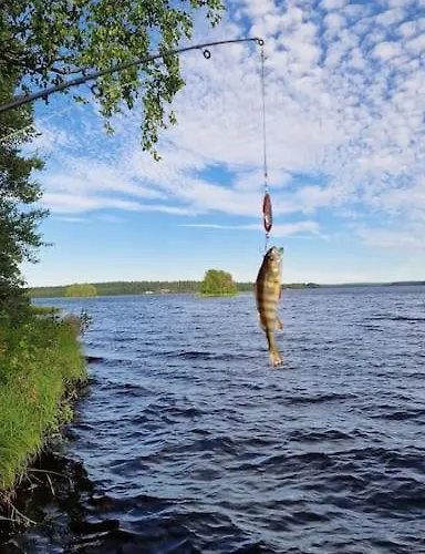 木屋 Rytiniemen Rantamoekki 拉努阿